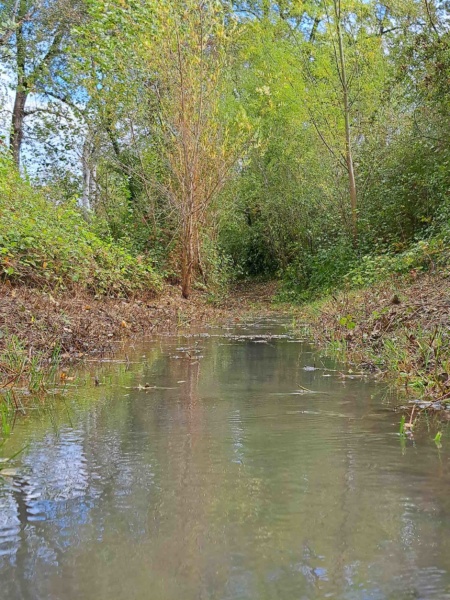 Lone de Jonage apres inondation © SYMALIM